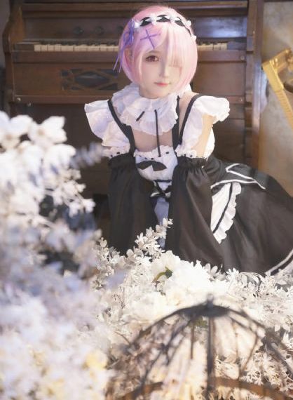 花蝴蝶免费版6集大全多少集88044