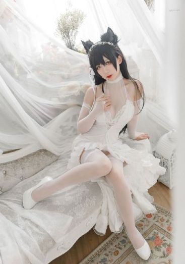 猪标一族
